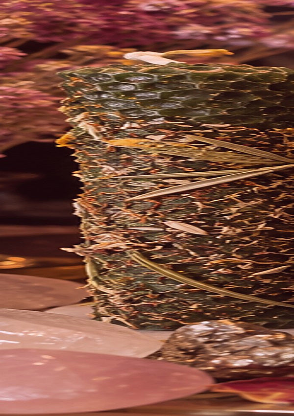 Concept photograph of dusty rose rolled beeswax candle with botanicals